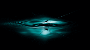 Nanostructure, Setae water strider