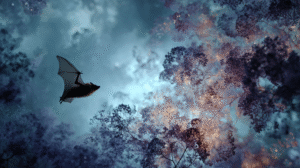 The Bat as the Master Sensor